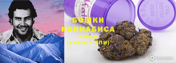 альфа пвп Гусиноозёрск