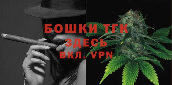 альфа пвп Гусев