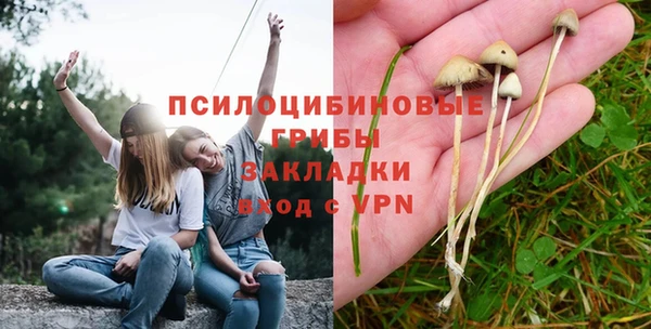 альфа пвп Гусев