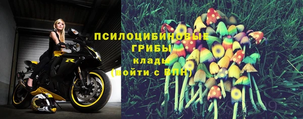 MDMA Дмитриев