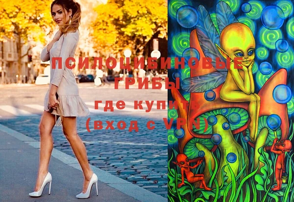 дживик Дмитровск