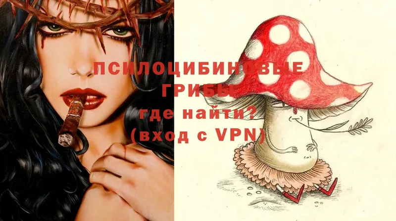 Псилоцибиновые грибы Magic Shrooms  мега   Ершов  купить наркоту 